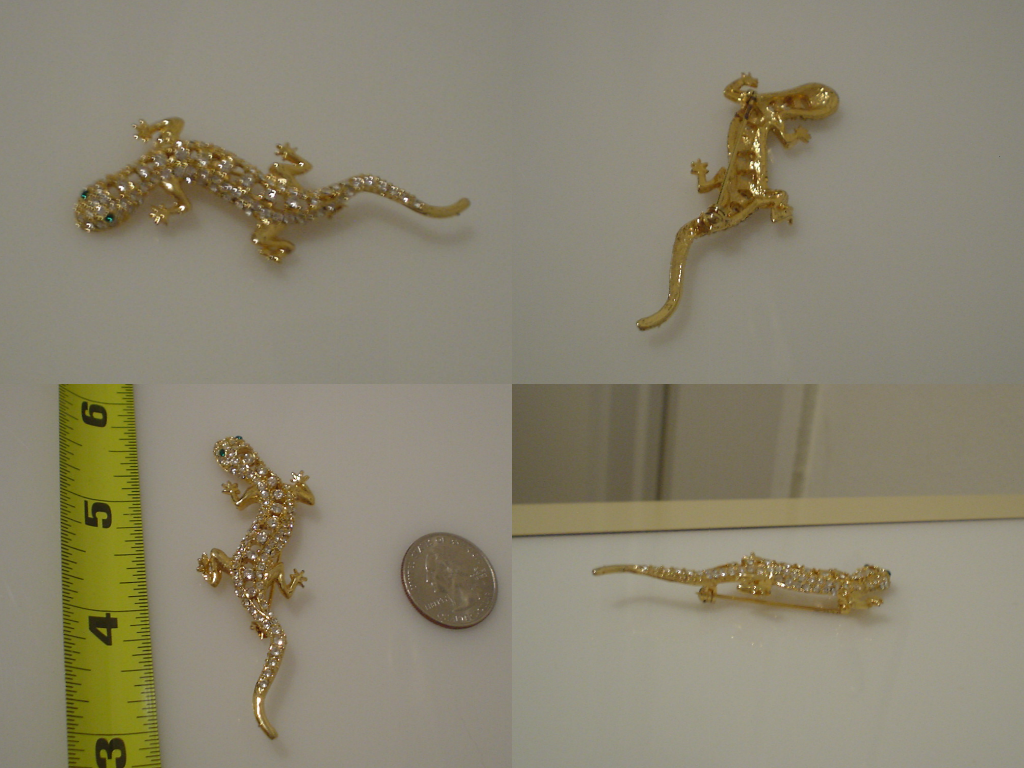 small lizard 1